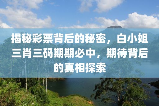 揭秘彩票背后的秘密，白小姐三肖三码期期必中，期待背后的真相探索