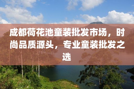 成都荷花池童装批发市场，时尚品质源头，专业童装批发之选