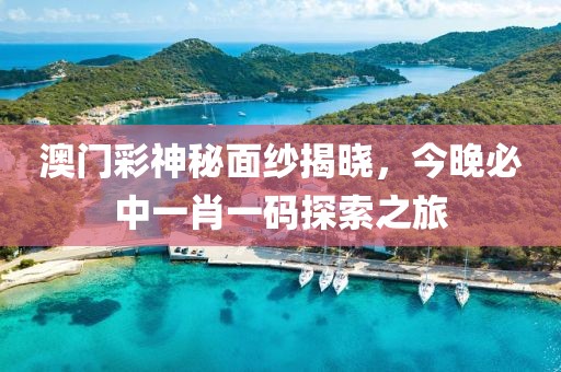 澳门彩神秘面纱揭晓，今晚必中一肖一码探索之旅