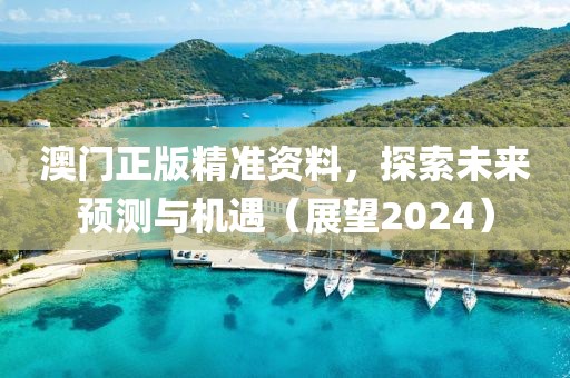 澳门正版精准资料，探索未来预测与机遇（展望2024）