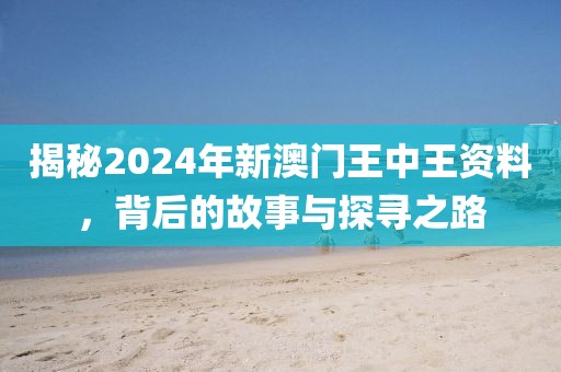 揭秘2024年新澳门王中王资料，背后的故事与探寻之路