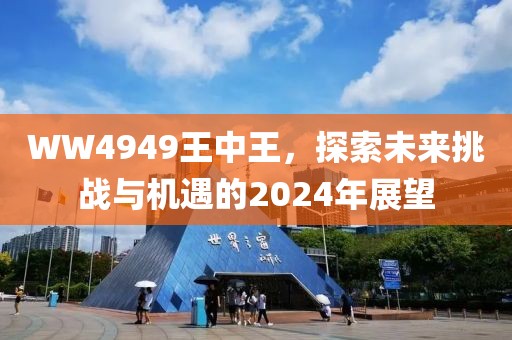 ww4949王中王2024年