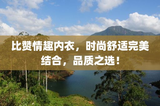 比赞情趣内衣，时尚舒适完美结合，品质之选！