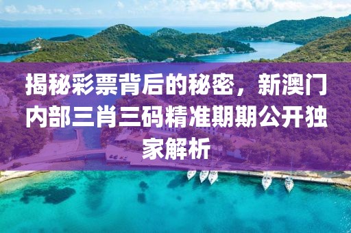 揭秘彩票背后的秘密，新澳门内部三肖三码精准期期公开独家解析