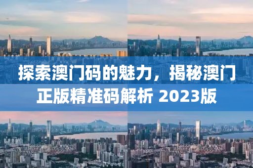 2023澳门精准正版澳门码