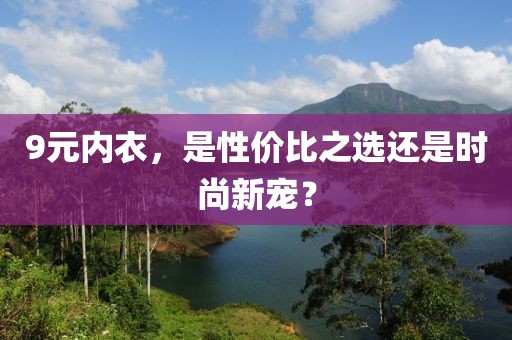 9元内衣，是性价比之选还是时尚新宠？