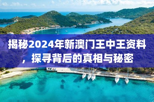 揭秘2024年新澳门王中王资料，探寻背后的真相与秘密