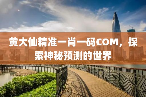 黄大仙精准一肖一码COM，探索神秘预测的世界