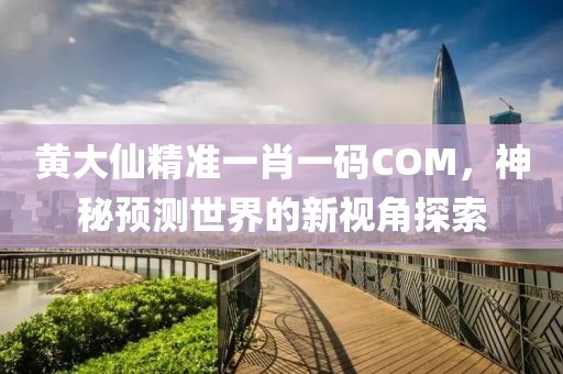 黄大仙精准一肖一码COM，神秘预测世界的新视角探索