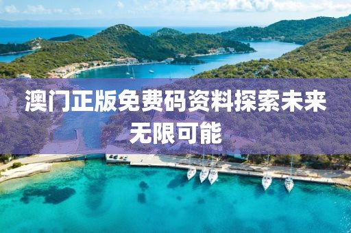 2023澳门正版免费码资料