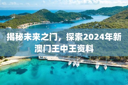 揭秘未来之门，探索2024年新澳门王中王资料