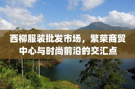 西柳服装批发市场，繁荣商贸中心与时尚前沿的交汇点