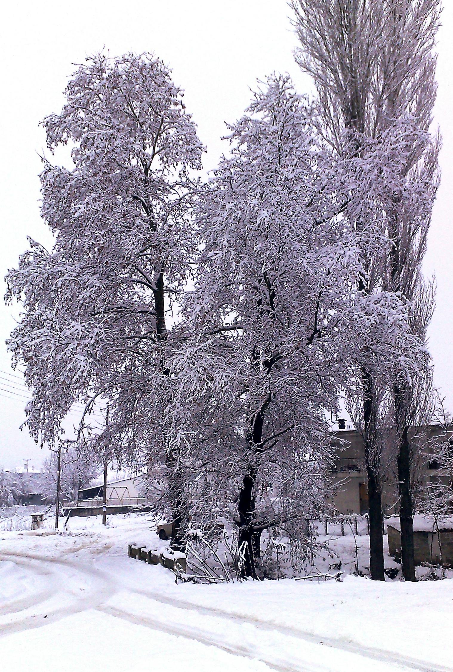 白雪公主童装，时尚与梦幻的完美结合，打造梦幻童话童装风采